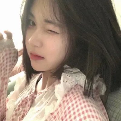 吉娃娃